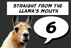 Llama Score: 6